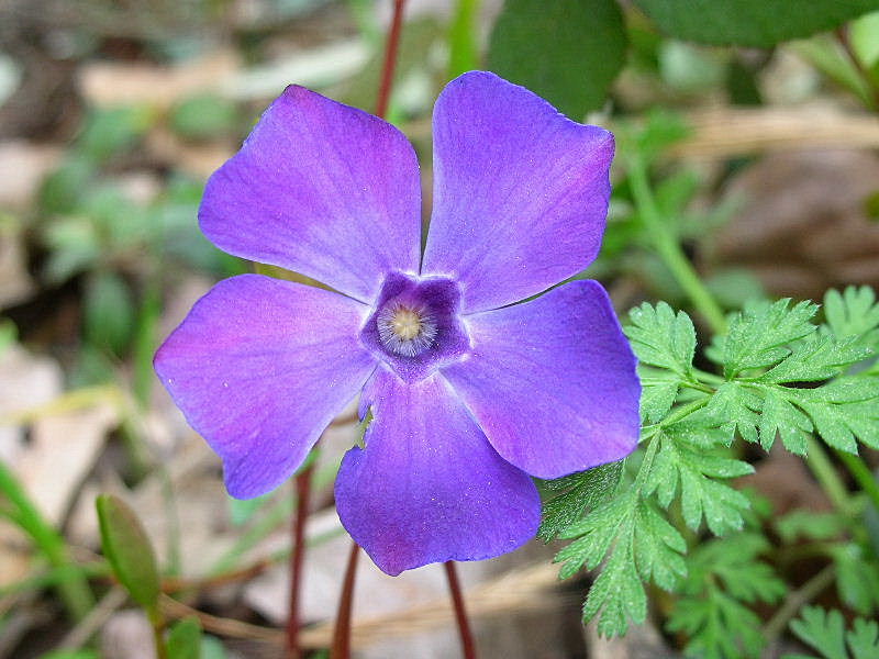 Aria di primavera...